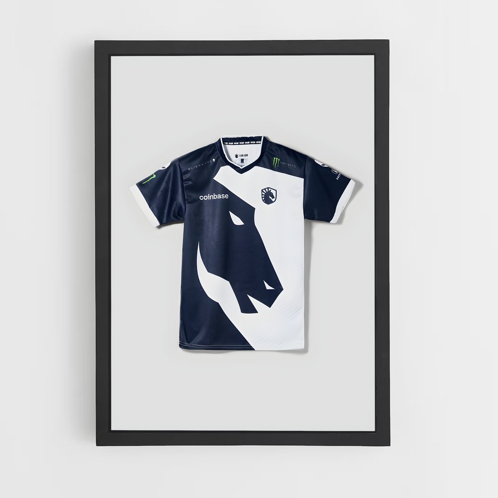 Poster Team de liquid – affiche Esports (vue 2)